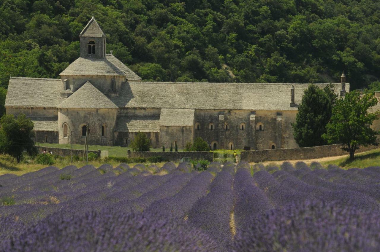 Clos Des Lavandes - Chambres Et Suites De Charme Climatisees-Luberon 라코스트 외부 사진